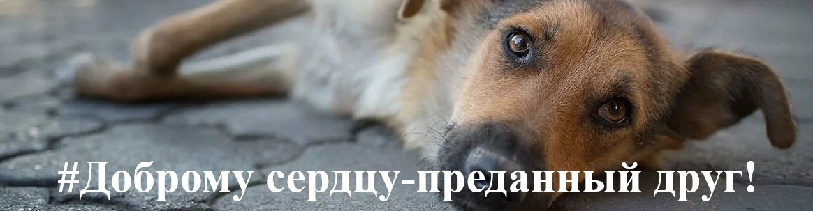 #Доброму сердцу-преданный друг баннер.